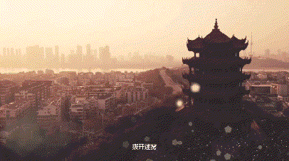 d63b9e93160141358b0c5cabf58ba54a.gif