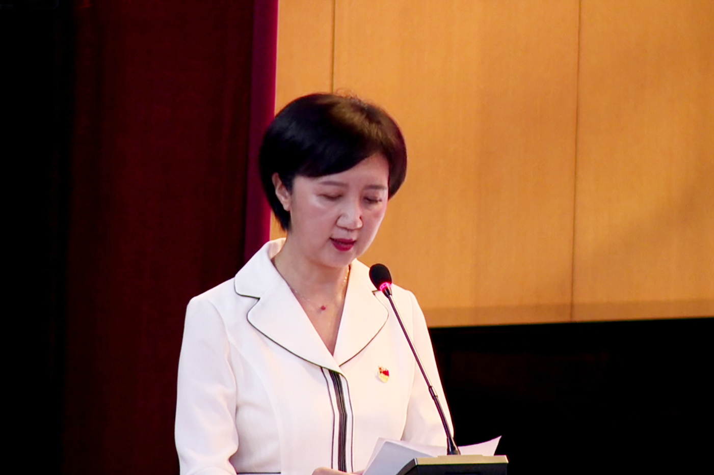 书记讲话.jpg