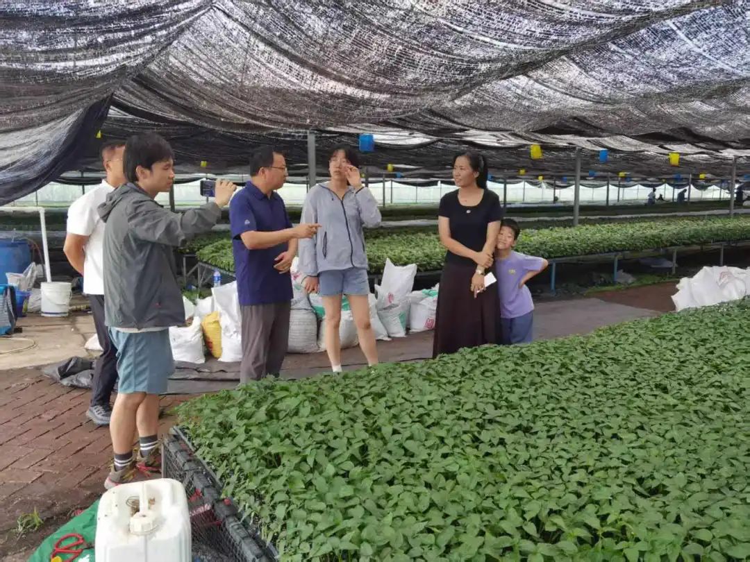 d345d69cc0ce47849c541c7bc4271e60.jpg d345d69cc0ce47849c541c7bc4271e60.jpg