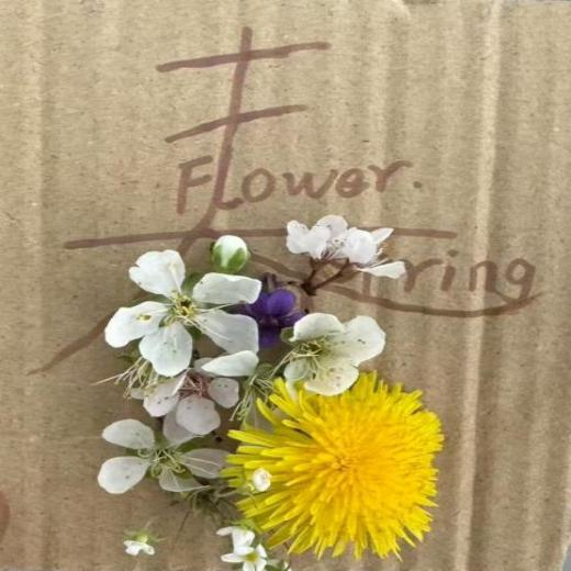 9cd69264df4d443883a69b8488c51b3b.png 9cd69264df4d443883a69b8488c51b3b.png