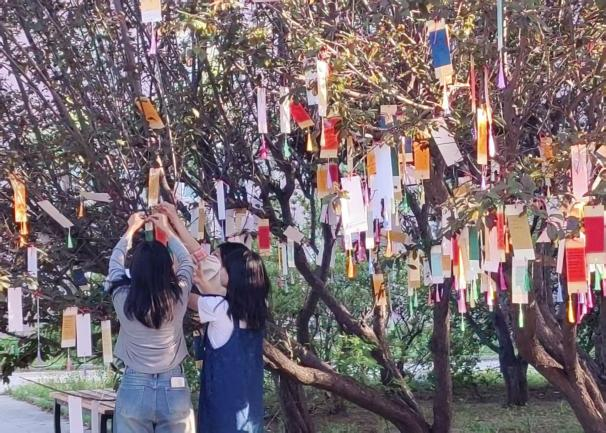 cc492cf74b344321a51b01f2101ad304.png cc492cf74b344321a51b01f2101ad304.png